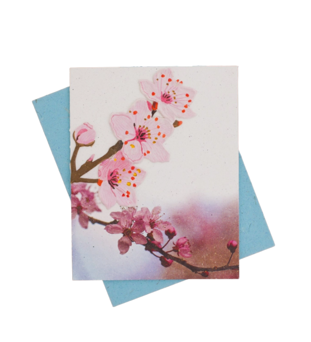 Cherry Blossom Greeting Card