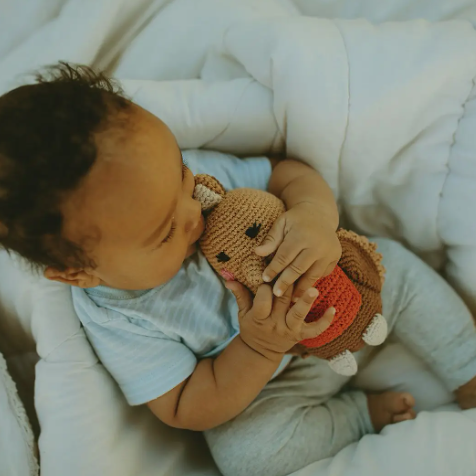 Robin Rattle