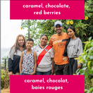 Switch Neon Coffee 250 gr Yellow Honey Field Blend 2 image