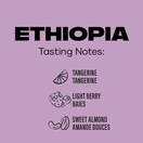 Switch Ethiopia Medium Coffee (Beans) 300g 2 image