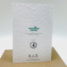 Switch "Just Wanted to Say Hi" Seed Card 3 image