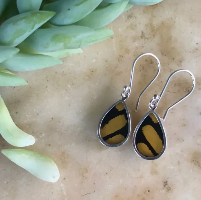 Butterfly Earrings King Swallowtail